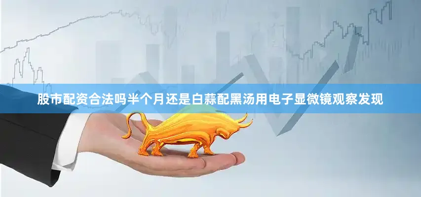 股市配资合法吗半个月还是白蒜配黑汤用电子显微镜观察发现