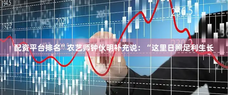 配资平台排名”农艺师钟伙明补充说：“这里日照足利生长
